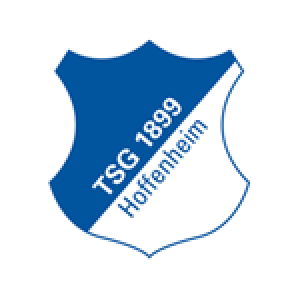 logo hoffenheim