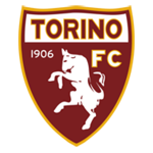 logo Torino